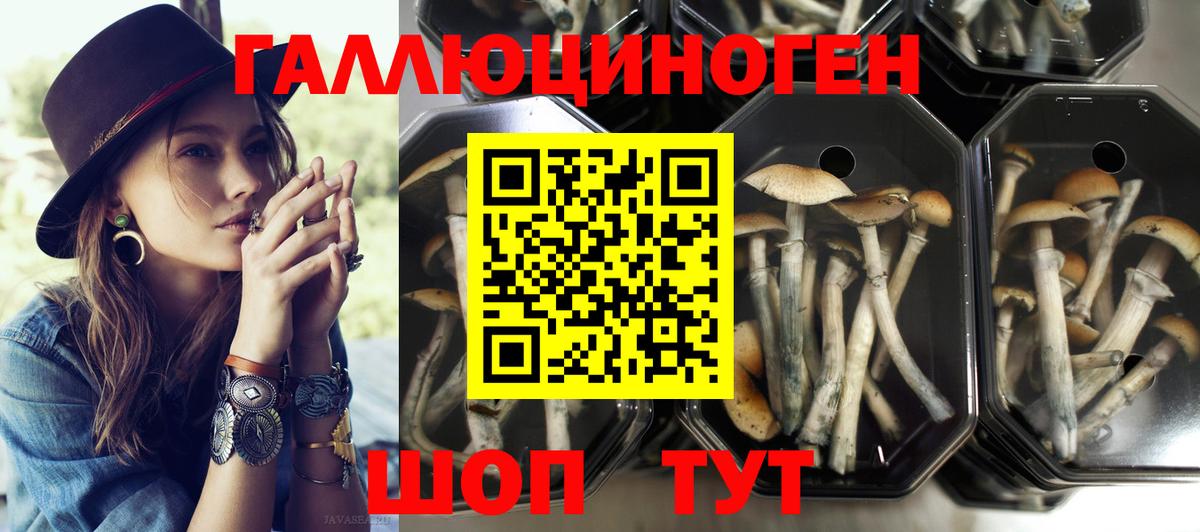 Псилоцибиновые грибы MAGIC MUSHROOMS  Вход с VPN  Псилоцибиновые грибы ЛСД  Октябрьский 